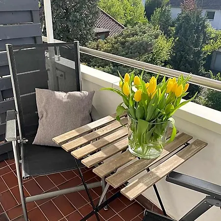 Hotel Kaup 3*